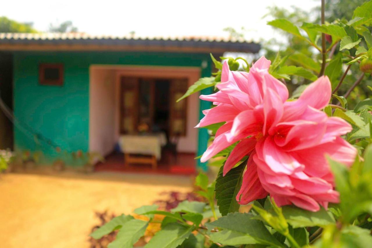 אלה Yoho Nilmini Homestay מראה חיצוני תמונה